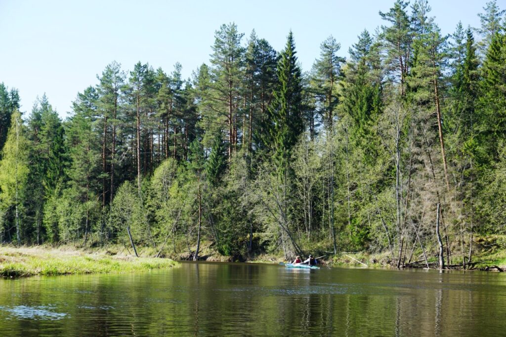 Майский сплав по Селижаровке (байдарки, дети)